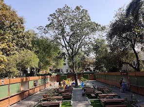 Cafe Courtyard 